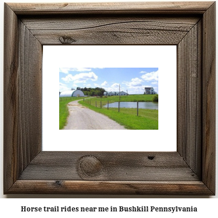 horse trail rides near me in Bushkill, Pennsylvania